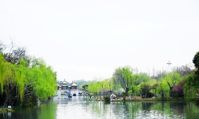 1681865643404713.png 微信圖片_20230419082856.png